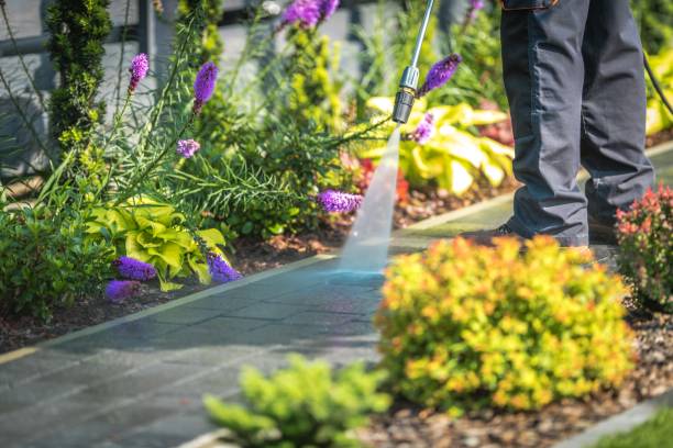 Best Gas Station Cleaning  in Lamoni, IA