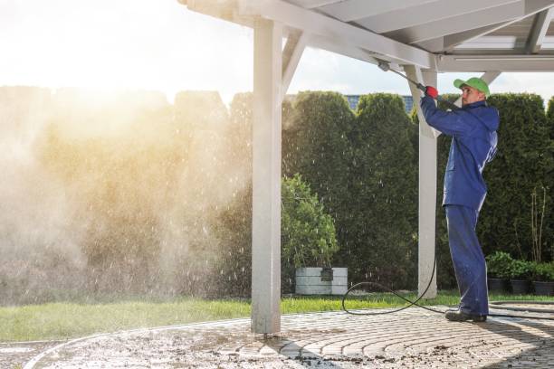 Best Solar Panel Cleaning  in Lamoni, IA